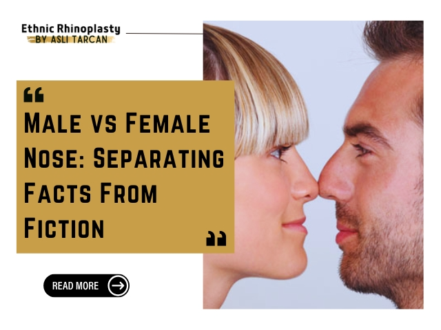 Male vs Female Nose Separating Facts From Fiction