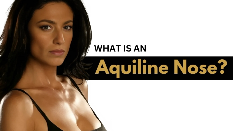 What is an Aquiline Nose What is an Aquiline Nose