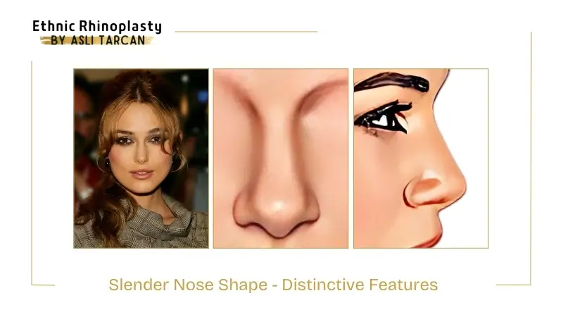 Slender Nose Shape - Distinctive Features Slender Nose Shape - Distinctive Features