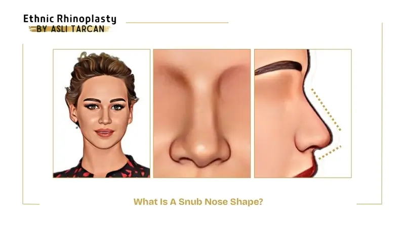 What Is A Snub Nose Shape What Is A Snub Nose Shape