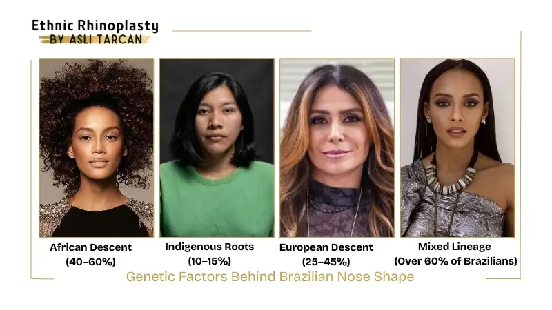 Genetic Factors Behind Brazilian Nose Shape Genetic Factors Behind Brazilian Nose Shape
