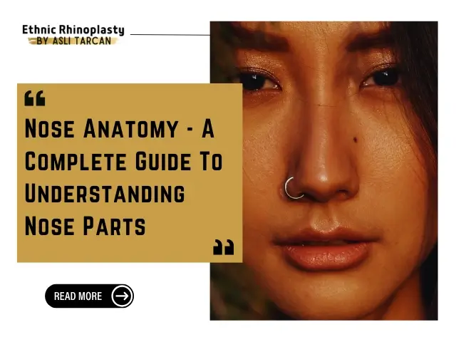 Nose Anatomy